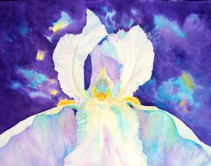 Celebration Iris Celebration Iris
