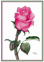 A Rose for You