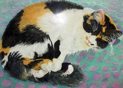 Calico Comfort Calico Comfort