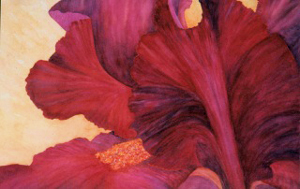 Iris Fantastique Iris Fantastique