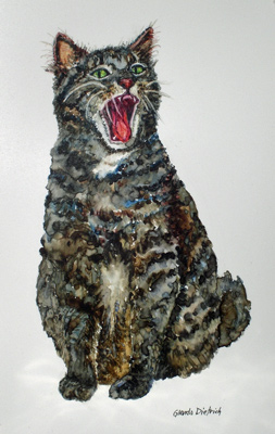 Meowing Cat Meowing Cat