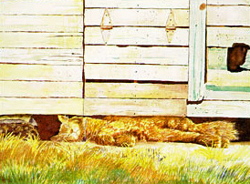 Mr. Pudd E. Katt's Afternoon Nap