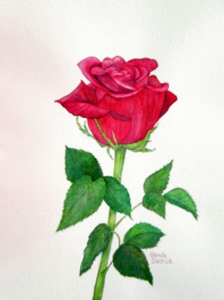 Red Rose Red Rose