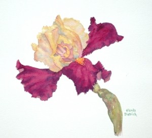 Iris in the Breeze